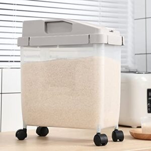 Rice Container 20l Food Grain Container, Portable Rice Container with Measuring Cup, Large Capacity for Storage, Suitable for Kitchen Video Storage