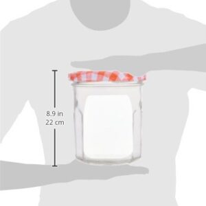 Kikkerland Jam Zipper Bag, Large, Set Of 2, Clear