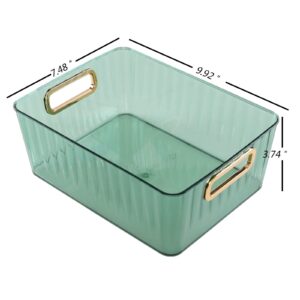 Vcansay Clear Plastic Pantry Organizer Bins, Small Plastic Storage Baskets, Green, 4-Pack