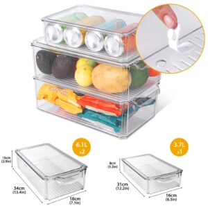 Midyb Fridge Organizer, 9 Pack Refrigerator Organizer Bins with Lids, BPA Free Stackable Fridge Organizers and Storage for Kitchen, Countertops, Fridge Containers for Vegetables, Fruits, Drinks