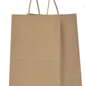 Qutuus Kraft Gift Bags Large with Handles 25 Pcs 10x5x13 inch Brown Gift Bags, Kraft Paper Bags for Shopping Reusable Grocery Bag