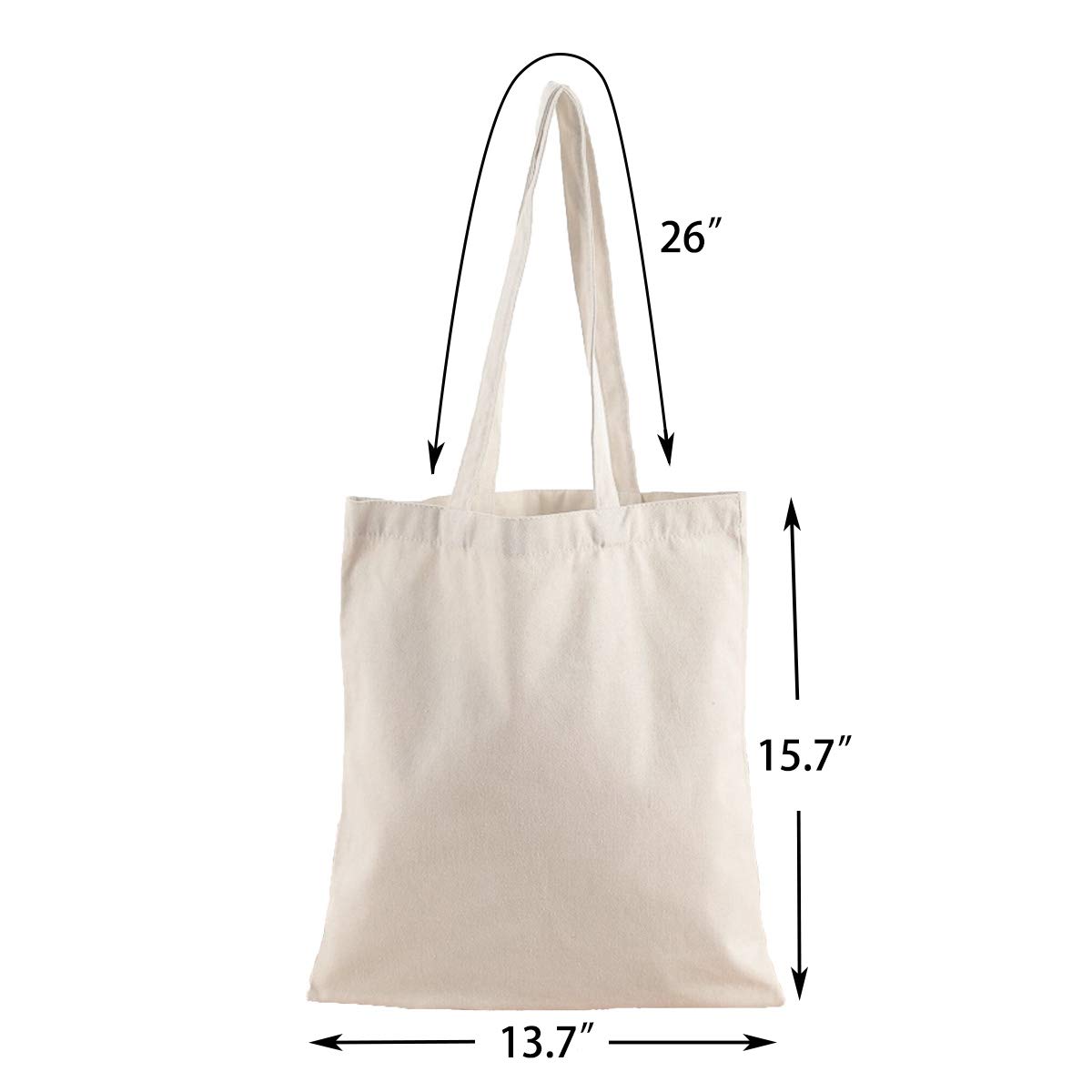 Rayol 2 Pack Canvas Bags Heavy Natural Canvas Tote Bags with Long Handles Grocery Bags