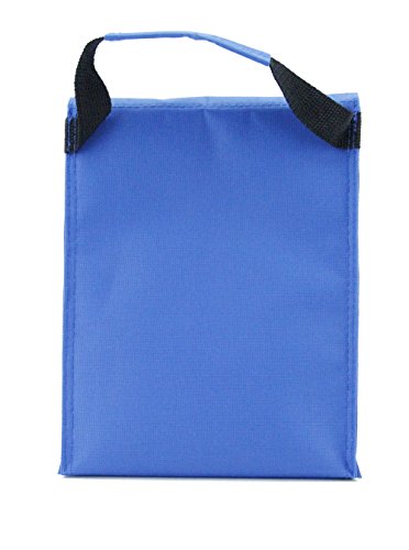 Colorful Hook Lunch Pack/ Lunch Cooler/ Cooler Tote Bag (Blue)