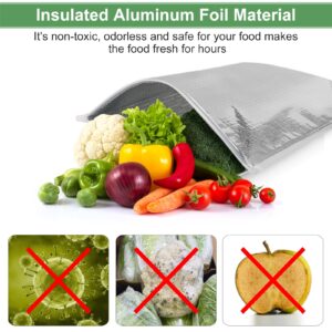 Insulated Food Storage Bag with Zipper Design, Hot Cold Storage Bags for Food, Reusable Thermal Lunch Bags, 5PCS