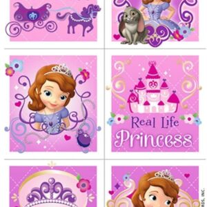 Disney Princess Tote Bag Set for Kids, Adults - 4 Pc Large Princess Reusable Grocery Bags with Disney Sofia the First Stickers (Princess Party Supplies)