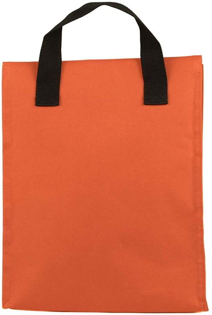 Bioworld NASA orange insulated tote Lunch Bag