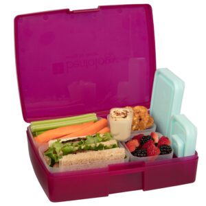 bentology bento lunch box set w/ 5 inner removable containers, leak proof, food prep & snack packing compartments - stackable, microwave safe nesting containers w lids, easy to clean & store