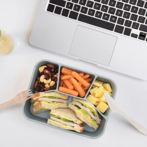 VitalityEXO Eco Friendly 4 Compartment Silicone Lunch Box for Adults and Kids Microwave Dishwasher and Freezer Safe with Separate Compartments Leakproof BPA-Free PVC-Free Bento Box (GREY)