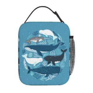 Echoserein Ocean Whale Sea Animals Lunch Bag Insulated Lunch Box Reusable Lunchbox Waterproof Portable Lunch Tote For Men Boys