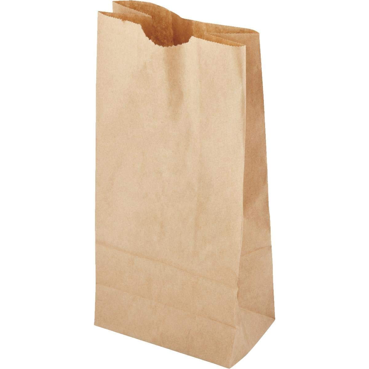 Paper Lunch Bag - Smart Savers