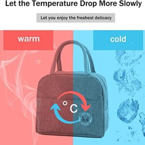 RAYCLOUD Adult Lunch Tote Waterproof Reusable Insulated Lunch Bag Cooler Lunch Box Meal Container with Side Pocket & Round Handle, Large Capacity but Easy to Carry
