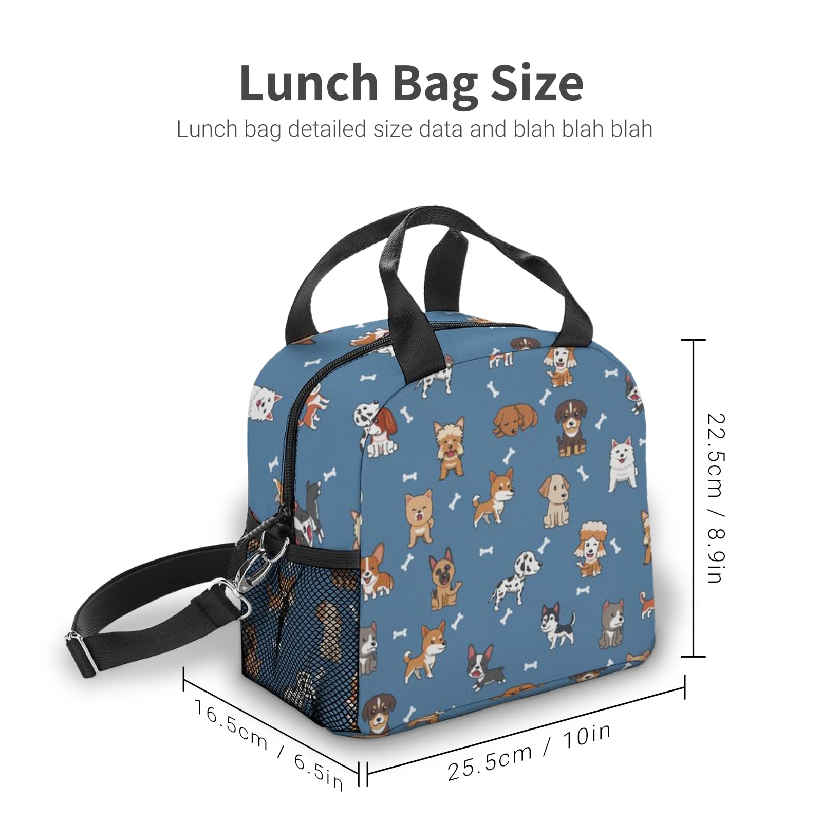 Roftidzo Lunch Bag for Boys Girls Men Women, Reusable Insulated Tote for Picnic Camping Office Work, Adjustable Shoulder Strap, 10x6x8 Inches