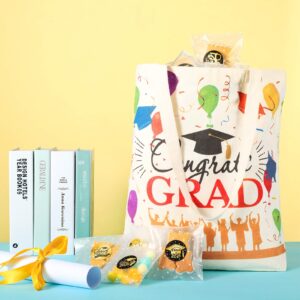 2 Pieces Graduation Party Favor Bags Canvas Tote Bags Large Graduation Canvas Shoulder Bags Reusable Grocery Shopping Bags for Graduation Party Supplies (Balloon)