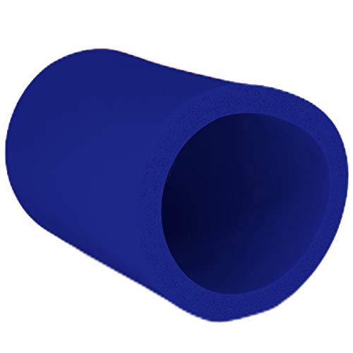 Lake Life Thick Foam Can Coolie (1, Royal Blue)