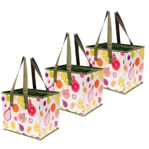 planet e reusable grocery shopping box bags - premium quality heavy duty tote set with reinforced bottom | folding, collapsible, durable and eco friendly (3 pack - 3 fruits), large