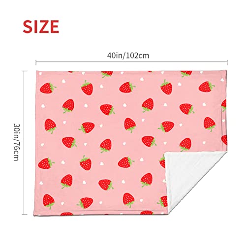 Meet Gentle Pink Strawberry Flannel Fleece Throw Blanket, Super Soft Fluffy Throw Blanket for Gifts Couch Sofa All Seasons XS 40"x30" for Pets