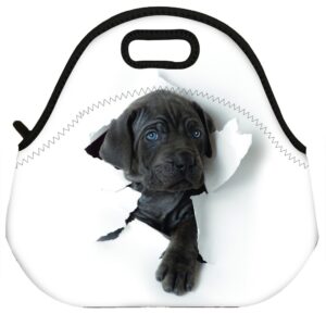 vipbuy waterproof 3d labrador retriever dog design thermal insulated neoprene lunch bag tote for men women work outdoor