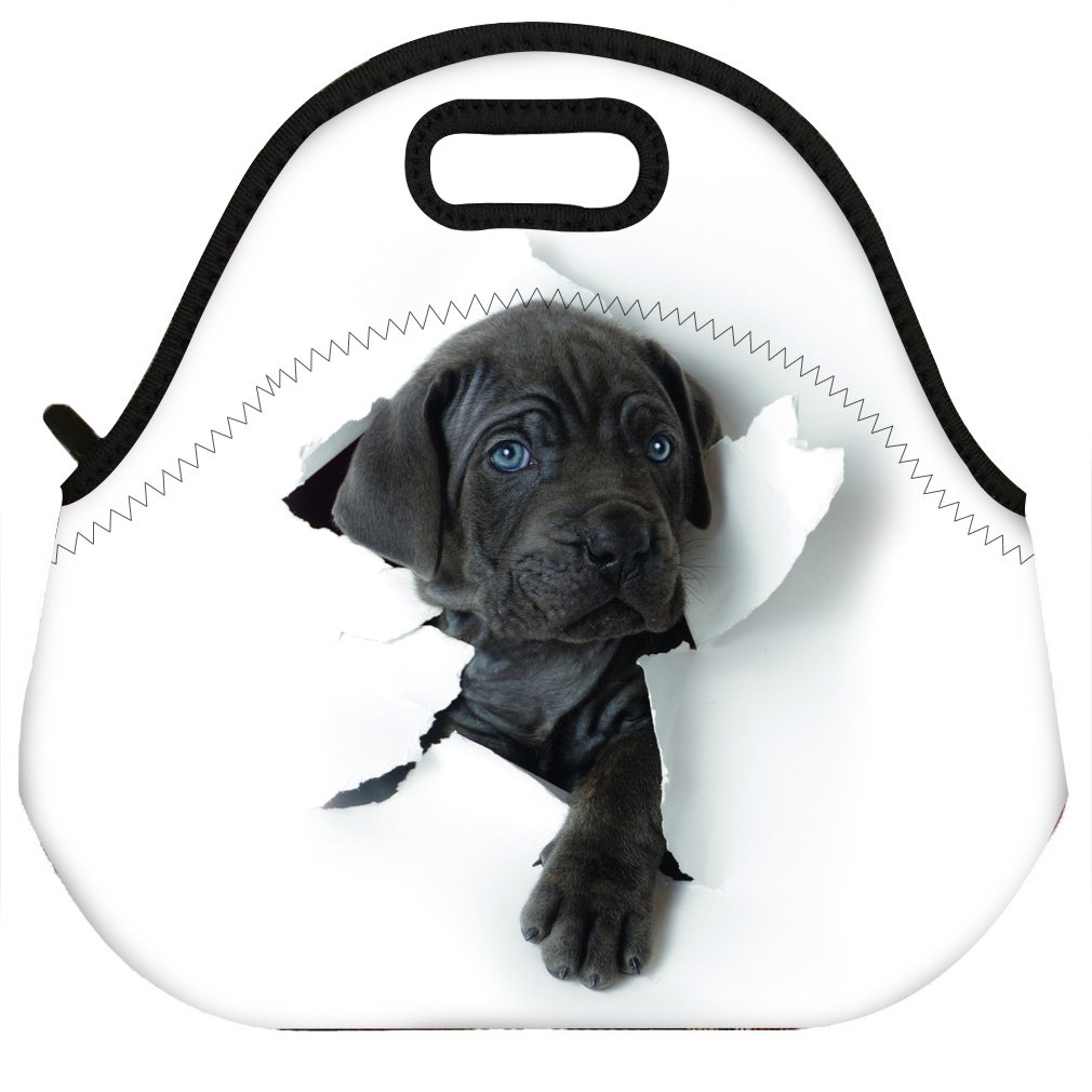 VIPbuy Waterproof 3D Labrador Retriever Dog Design Thermal Insulated Neoprene Lunch Bag Tote for Men Women Work Outdoor