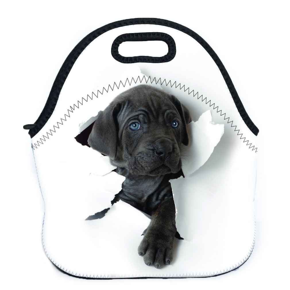 VIPbuy Waterproof 3D Labrador Retriever Dog Design Thermal Insulated Neoprene Lunch Bag Tote for Men Women Work Outdoor