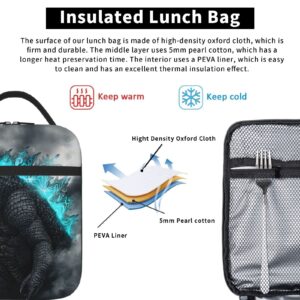 Yiwbor Portable Lunch Box Insulated Lunch Bag Reusable Cooler Tote Bag for Work Picnic Camping