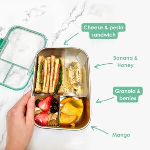 Smash Stainless Steel Bento Lunch Box, 3 Compartments, Sage