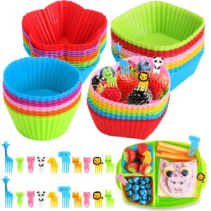 piklodo 80pcs slicone lunch box dividers, 60pcs silicone dividers and 20pcs fruit food picks, reusable lunch box divider inserts multicolor silicone cupcake liners lunch accessories