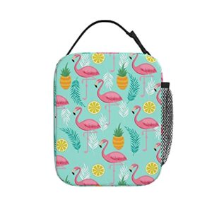Insulated Lunch Box for Men and Women, Portable and Reusable Lunch Bag for Office Work and Picnic, Flamingo