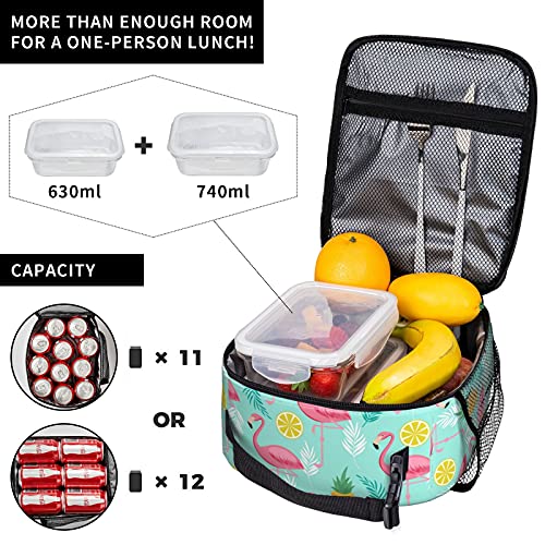 Insulated Lunch Box for Men and Women, Portable and Reusable Lunch Bag for Office Work and Picnic, Flamingo