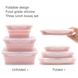 Duoyou Collapsible Silicone Lunch Bento Box, Portable Food Storage Container Outdoor Picnic Box Space Saving, Microwave, Dishwasher and Freezer Safe, 3 Pcs Set (Pink)