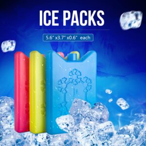 ViLoSa Ice Packs Lunch Box and Cooler Reusable ice Pack Kids Keeps Food Cool Longer time Large ice Pack- Durable - Perfect Size - No Leaks - No Smells - 4-Pack