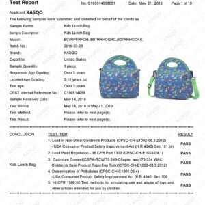 Kasqo Lunch Bag for Kids, Neoprene Insulated Boys Lunch Boxes Children’s Lunch Tote with Front Pocket and Detachable Adjustable Shoulder Strap in Cute Dinosaur