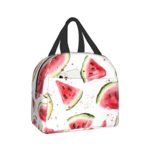 canesert lunch bag with pocket for teen slices watermelon insulated lunch box cooler thermal waterproof reusable tote bag for women travel work hiking picnic