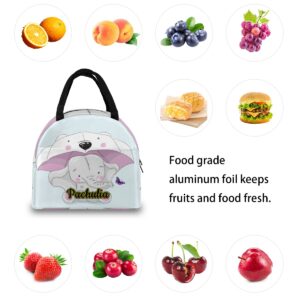 Personalized Text Lunch Bag - Customize Name School Portable Durable Hand Carrying Insulated Lunch Bag Cute Elephant Cartoon