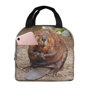 larklitz cute funny beaver reusable insulated lunch bag, 8.5in x 8in x 5in, polyester, for women men