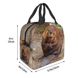 Larklitz Cute Funny Beaver Reusable Insulated Lunch Bag, 8.5in x 8in x 5in, Polyester, For Women Men