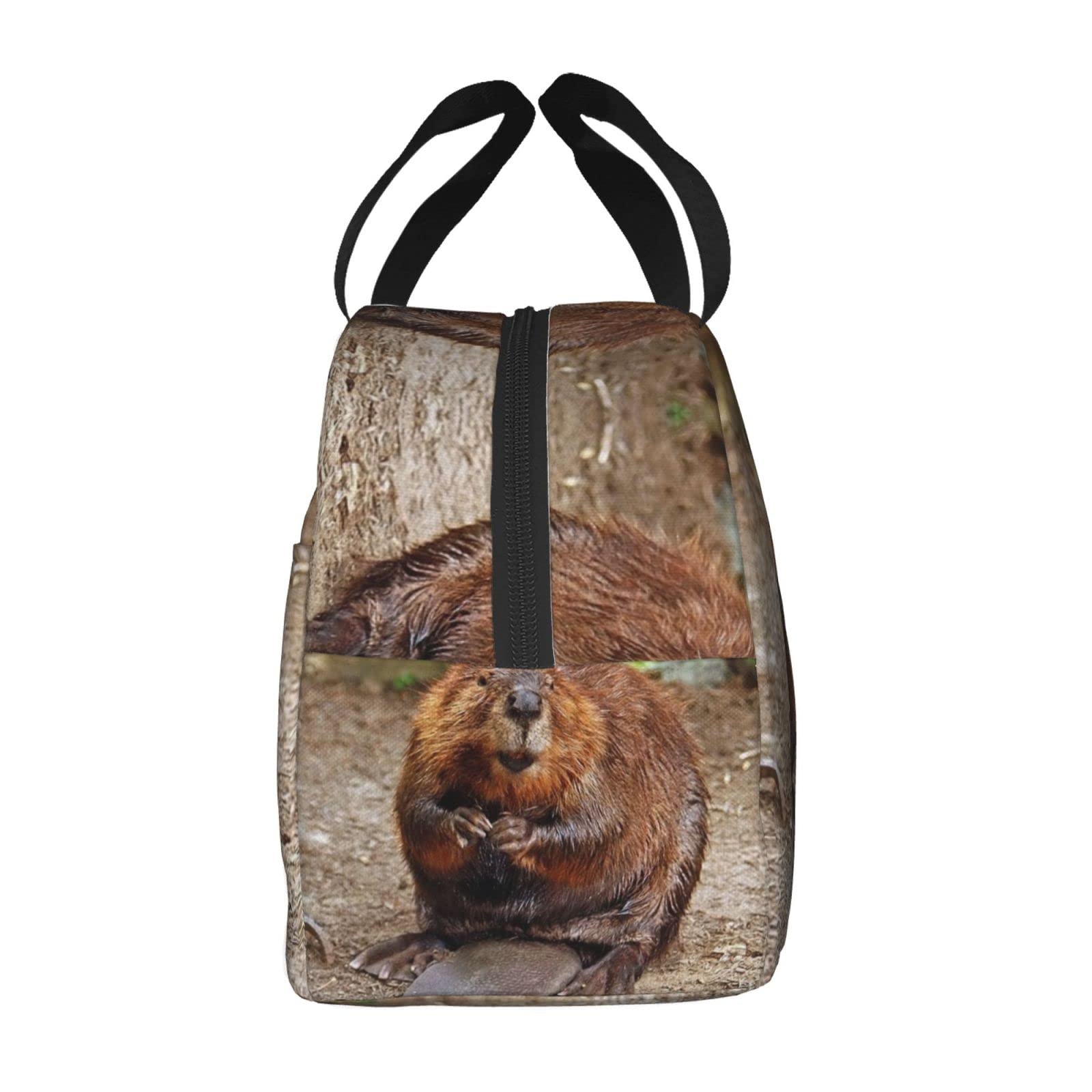 Larklitz Cute Funny Beaver Reusable Insulated Lunch Bag, 8.5in x 8in x 5in, Polyester, For Women Men