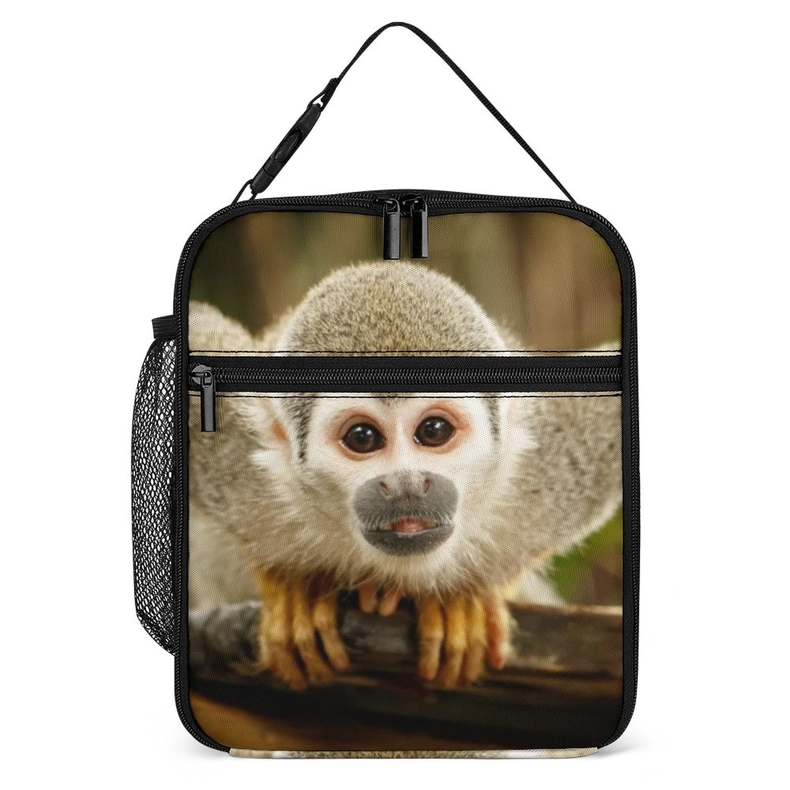 MINBHEBYUD Squirrel Monkey Jungle Lunch Bag for Men Women, Insulated Lunch Bags for Office Work, Reusable Portable Lunch Box