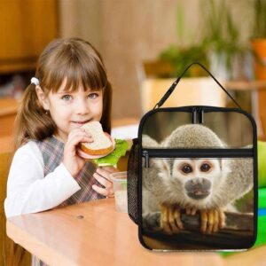 MINBHEBYUD Squirrel Monkey Jungle Lunch Bag for Men Women, Insulated Lunch Bags for Office Work, Reusable Portable Lunch Box