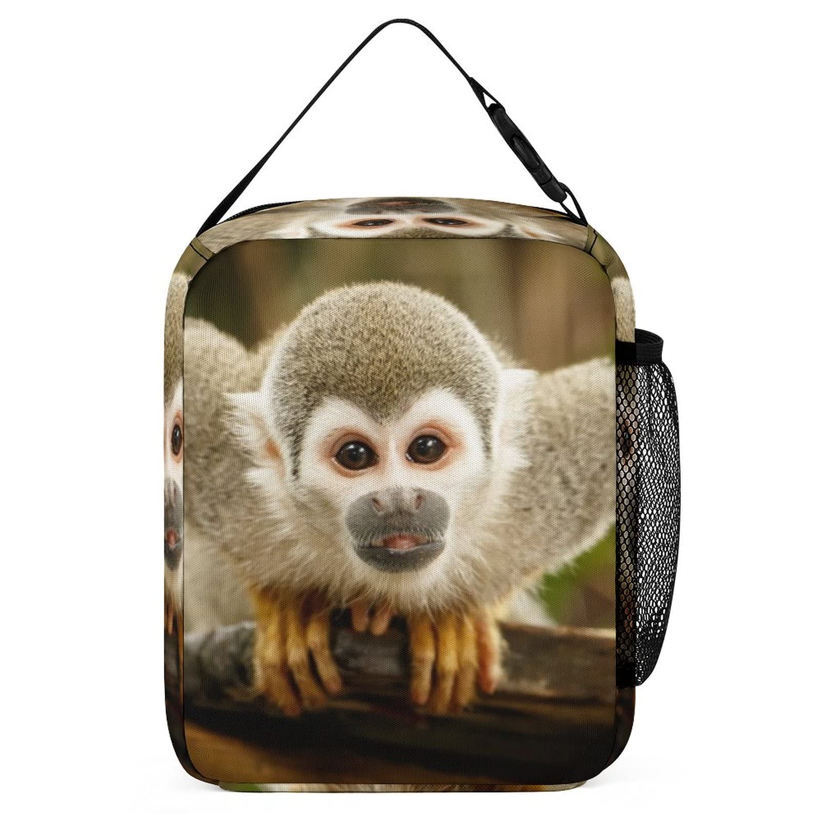 MINBHEBYUD Squirrel Monkey Jungle Lunch Bag for Men Women, Insulated Lunch Bags for Office Work, Reusable Portable Lunch Box