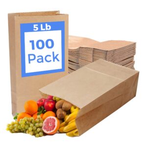 5lb brown paper lunch bags 100 count - large brown paper bags lunch size - lunch paper bags, paper sandwich bags - brown lunch bags - paper lunch bags for kids - sandwich bag paper lunch bags for food