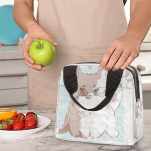 Cute Cats Pets Style Insulated Lunch Bag Women Reusable Lunch Tote Bag for Men Adult Leakproof Cooler Lunch Box for Work Office Picnic Travel