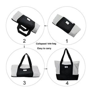 2-in-1 Large Insulated Cooler lunch Tote Bag Ladies Trendy Zippered Teacher Bag Utility Beach Tote Bag for Women