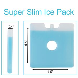 Jay Bags Slim Fit Ice Packs for Coolers, Lunch Boxes, and Lunch Bags, Reusable, 4.5" x 4.5" x 0.4" Inches, 4 Pack