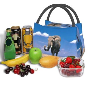 Elephant Lunch Box Picnic Bags Animal Tote Insulated Portable Elephant Decor Container Meal Bag