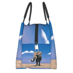 Elephant Lunch Box Picnic Bags Animal Tote Insulated Portable Elephant Decor Container Meal Bag