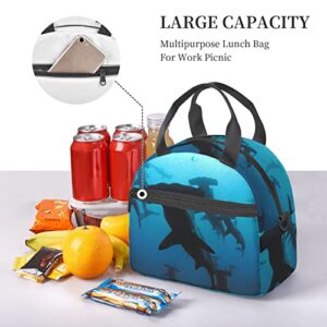 FXXWJP Hammerhead Sharks Handheld Crossbody Lunch Bag,Reusable Can Be Insulated To Keep Cold, Suitable For Office Work,Picnic, Beach (Men, Women)