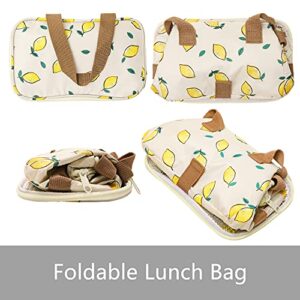 Vomgomfom Lunch Bag Box with Adjustable Shoulder Strap - Portable Lunch Bag, Foldable Lunch Bag for Travel