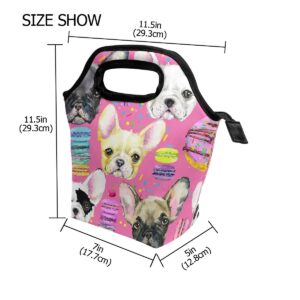 Lunch Bag Animal Dog French Bulldog Insulated Reusable Lunch Box Portable Lunch Tote Bag Meal Bag Ice Pack for Boys Girls Adult Women2