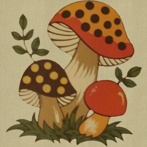 CafePress Merry Mushroom Canvas Lunch Bag with Strap Handle