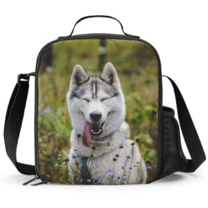 prelerdiy husky lunch box - insulated lunch box for kids funny 3d design with side pocket & shoulder strap lunch bag perfect for school/camping/hiking/picnic/beach/travel